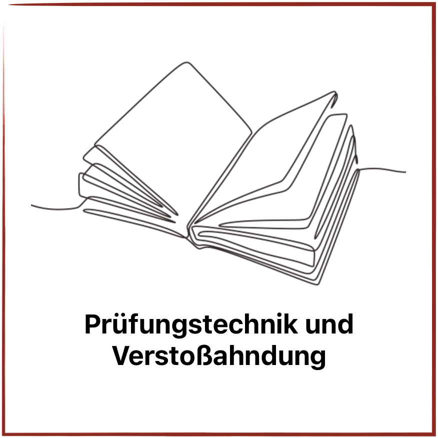 ROTE REIHE: Prüfungstechnik und Verstoßahndung